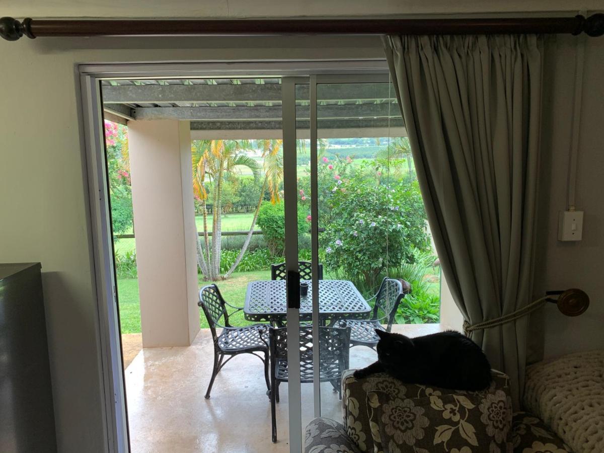 Jelani Guest House White River Exterior photo